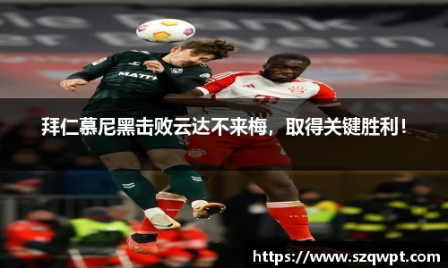威尼斯886699app